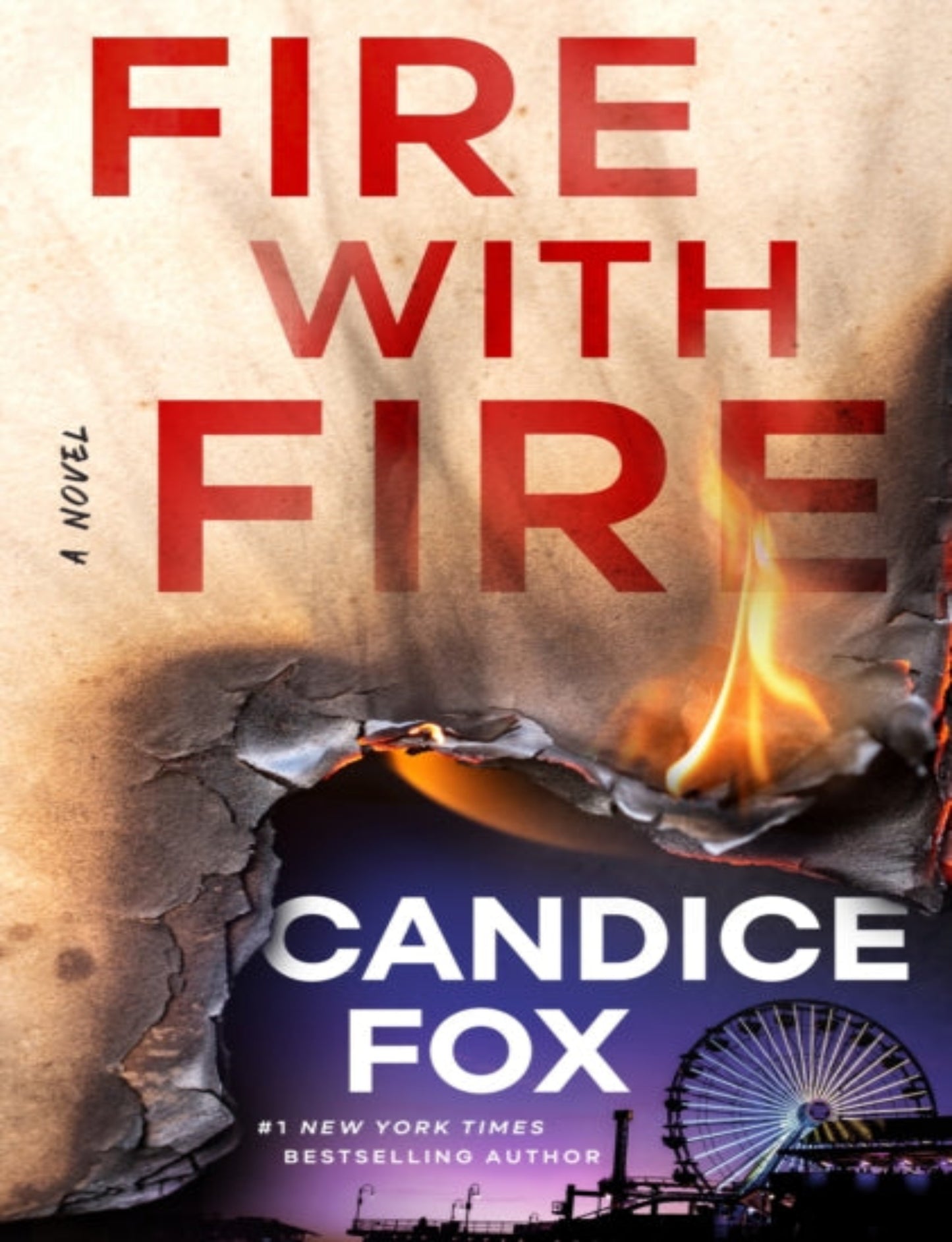 Fire with Fire : A Novel