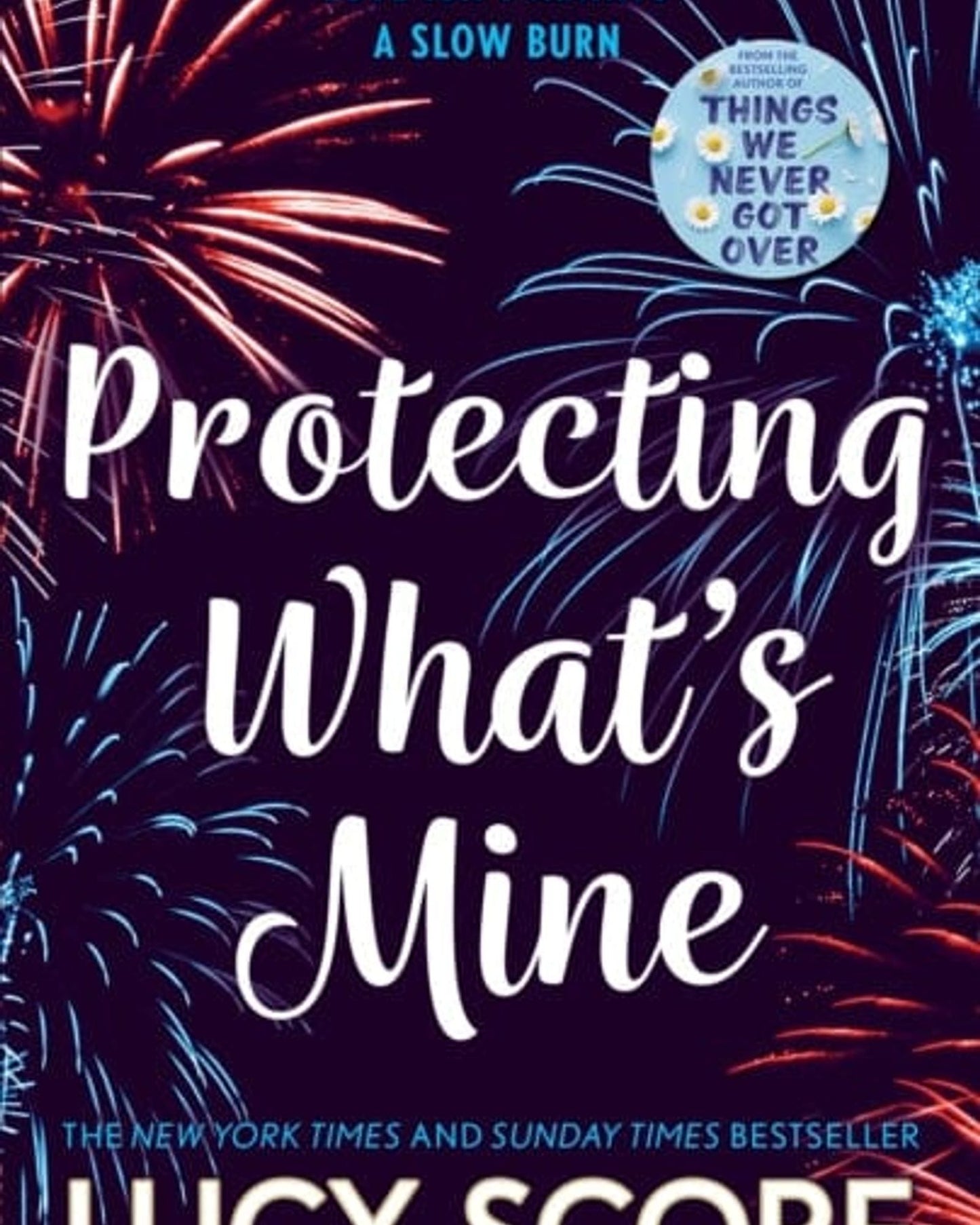 Protecting What's Mine