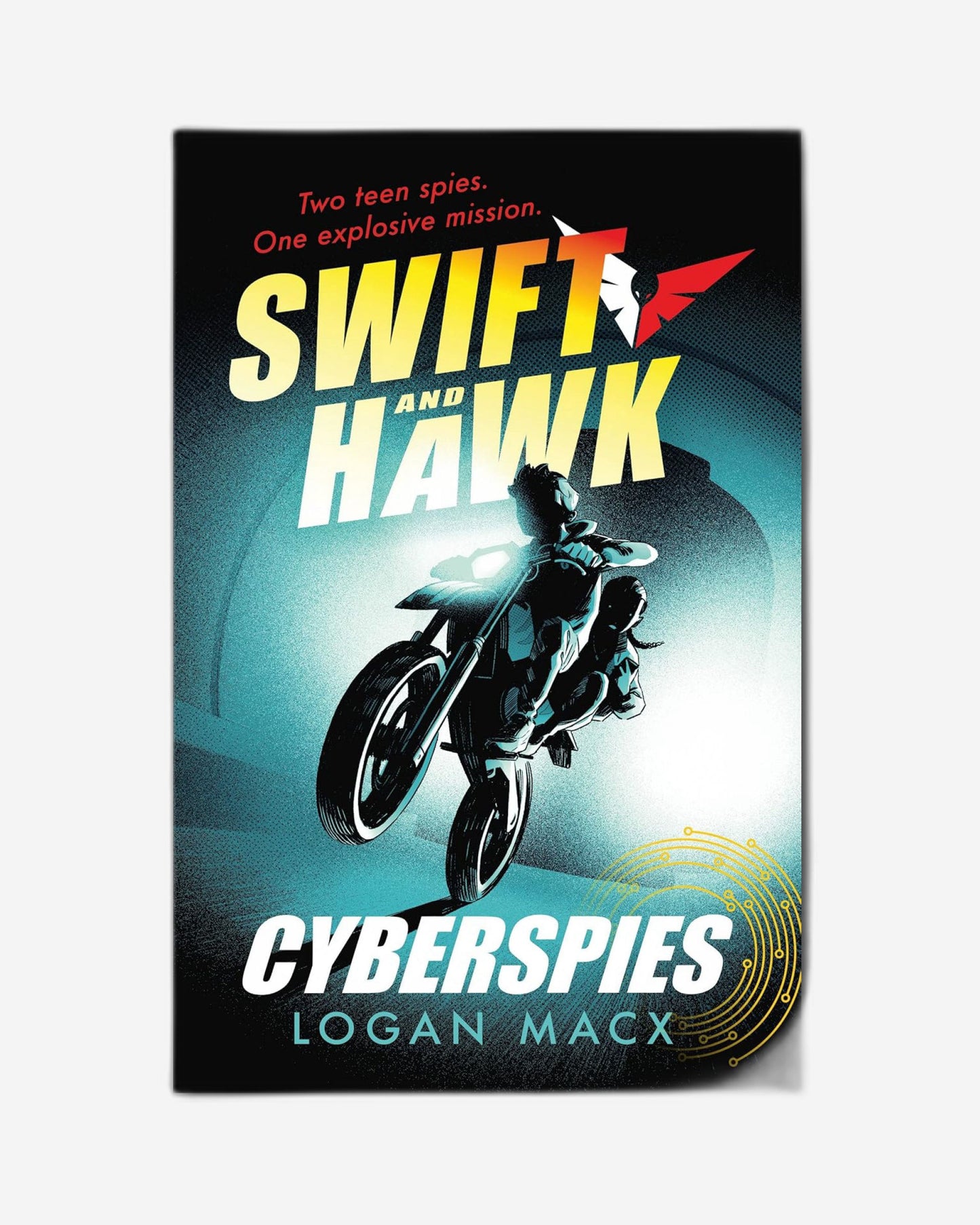 Swift and Hawk: Cyberspies