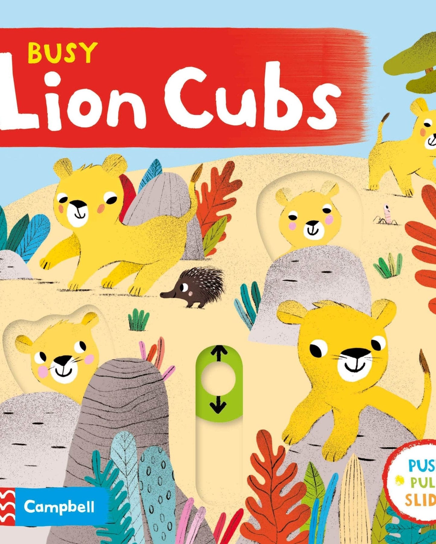 BUSY LION CUBS