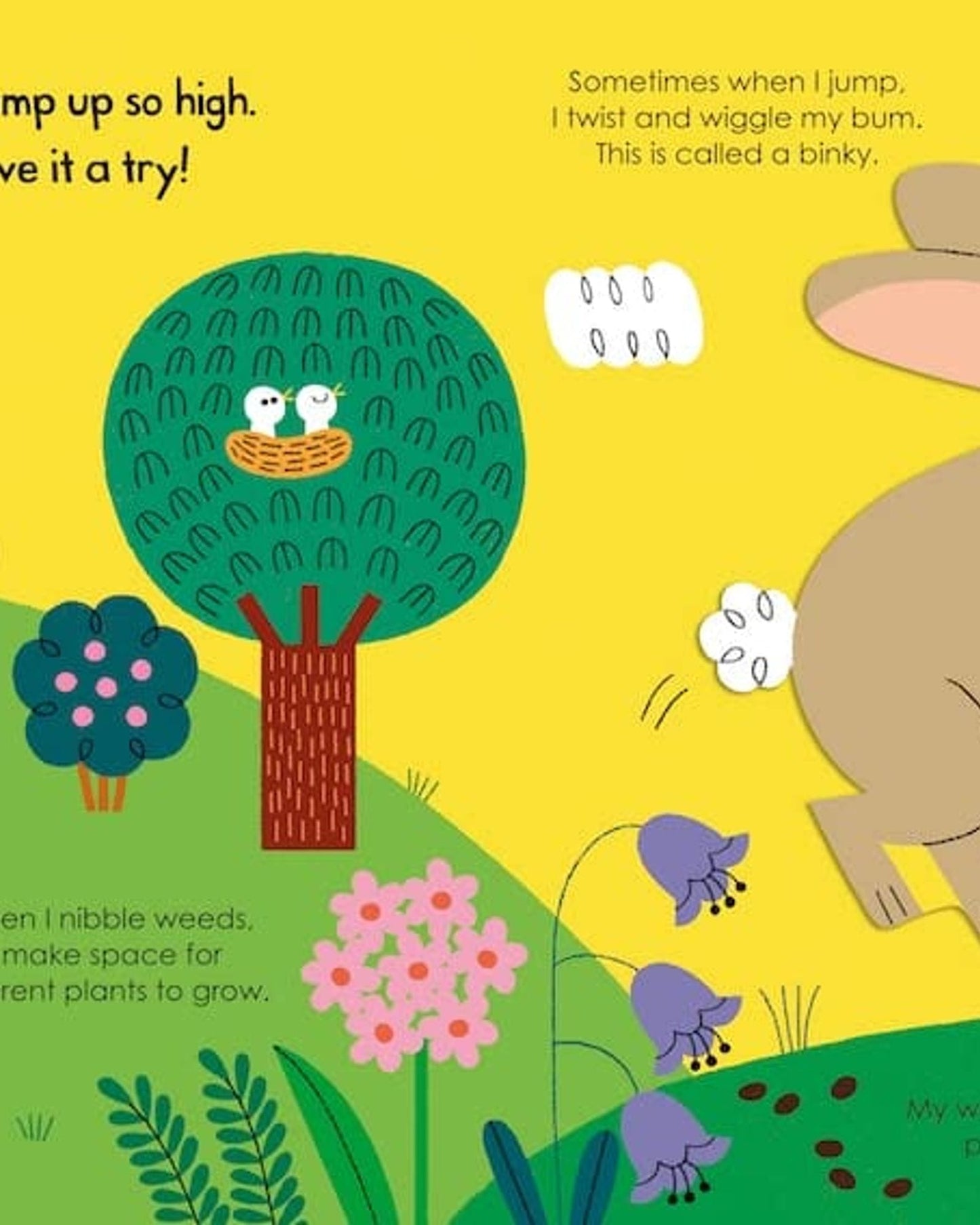 Rabbit
