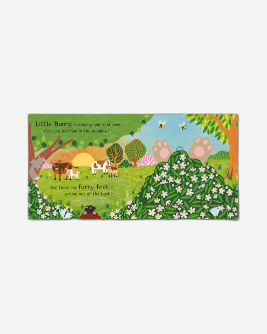 Where is Little Bunny? : The lift-the-flap book with a pop-up ending!