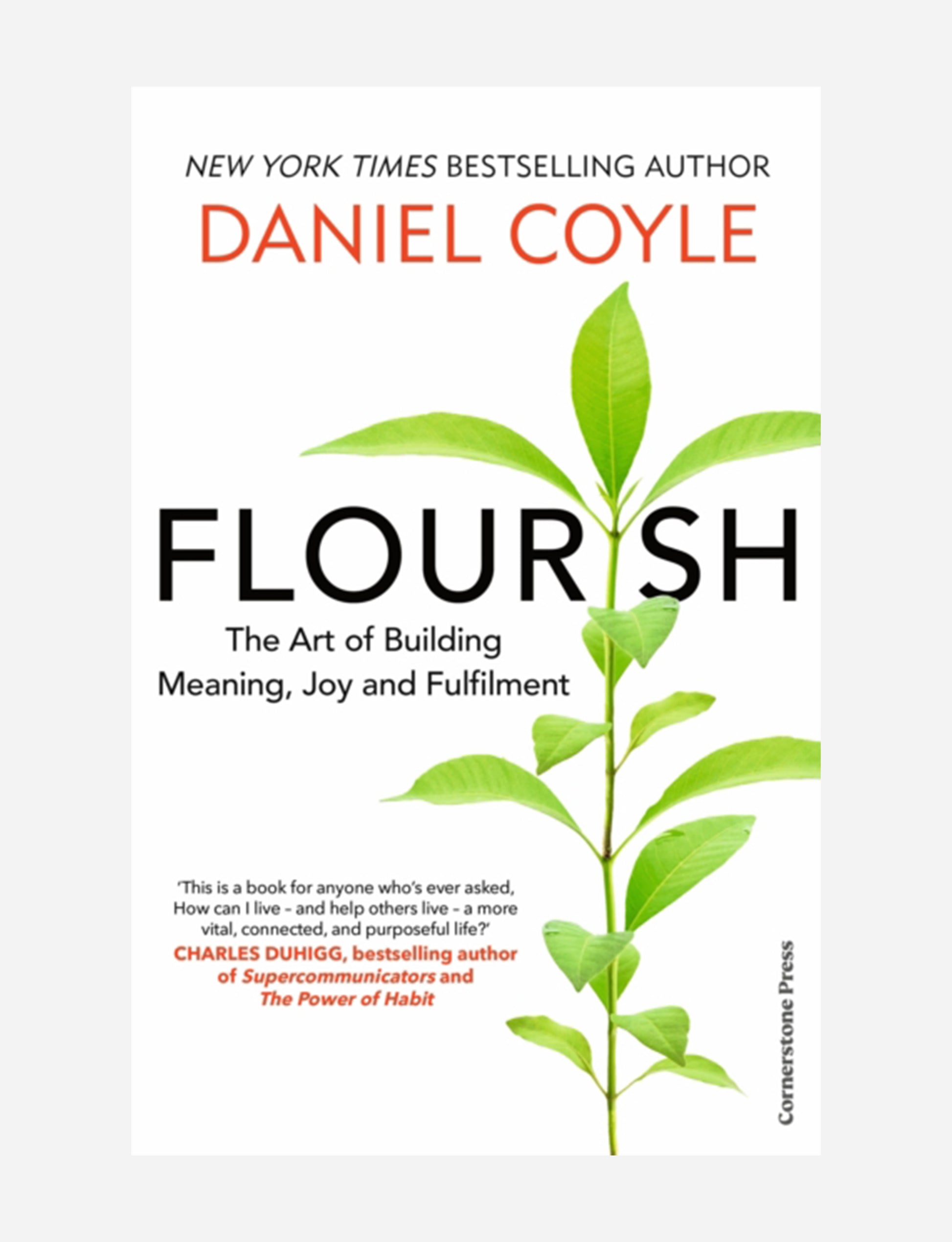 Flourish : The Art of Building Meaning, Joy and Fulfilment