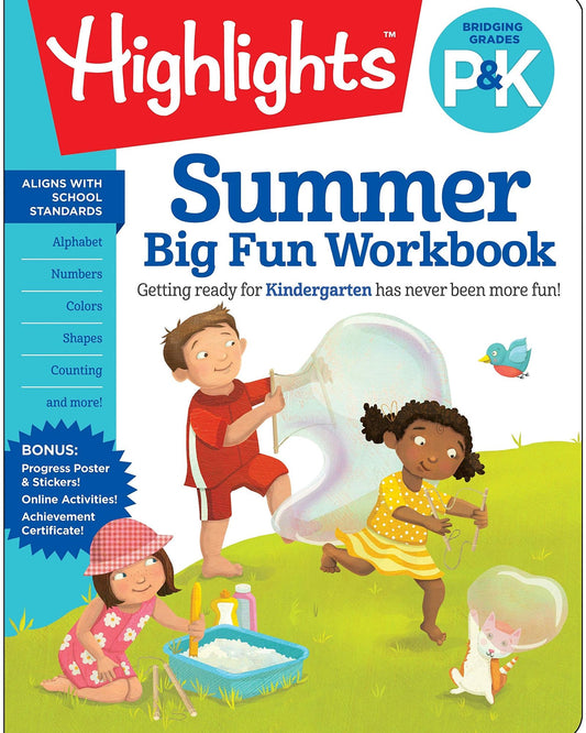 SUMMER BIG FUN WORKBOOK BRIDGING GRADES P & K