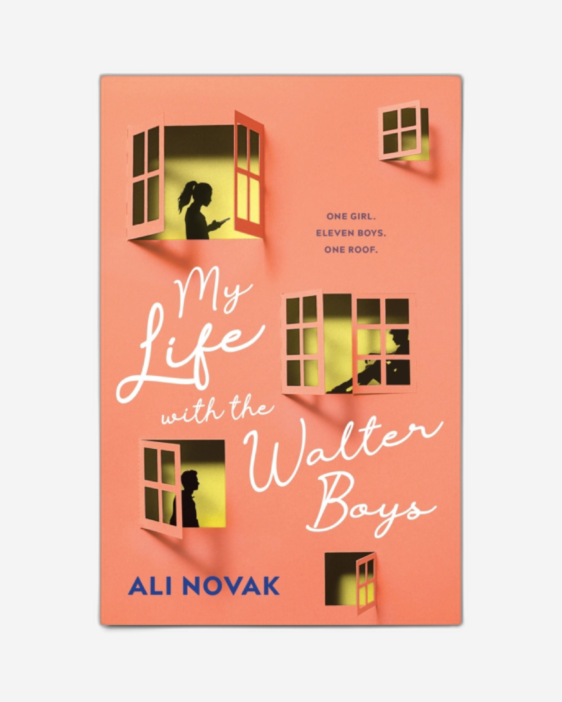 My Life with the Walter Boys