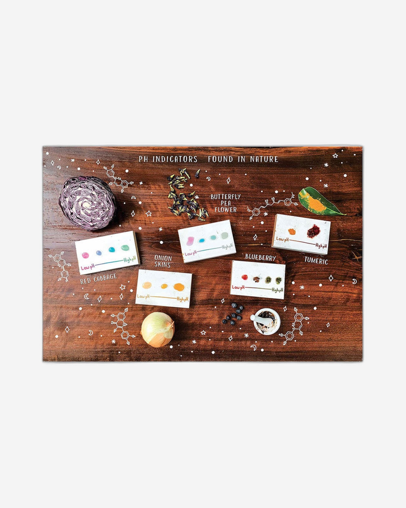 The Science Spell Book : Magical Experiments for Kids