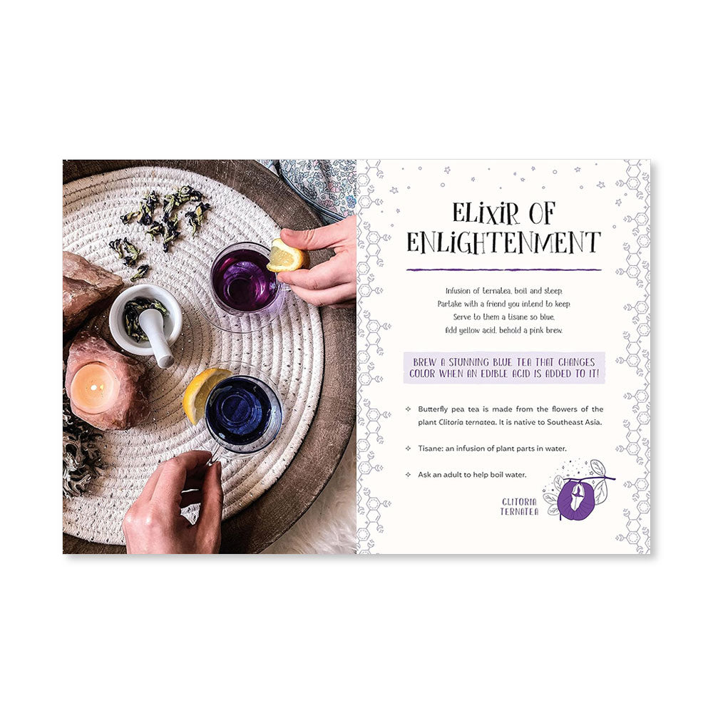 The Science Spell Book : Magical Experiments for Kids