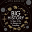 Little Book Of Big History -  Ian Crofton