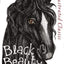 ILLUSTRATED CLASSIC: BLACK BEAUTY