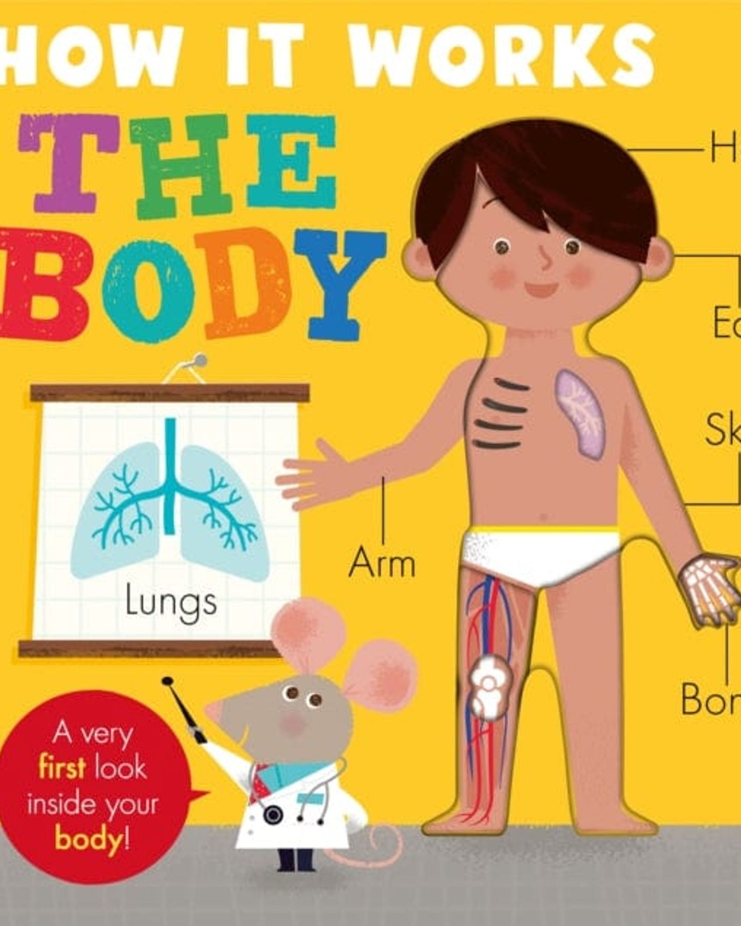 HOW IT WORKS: THE BODY