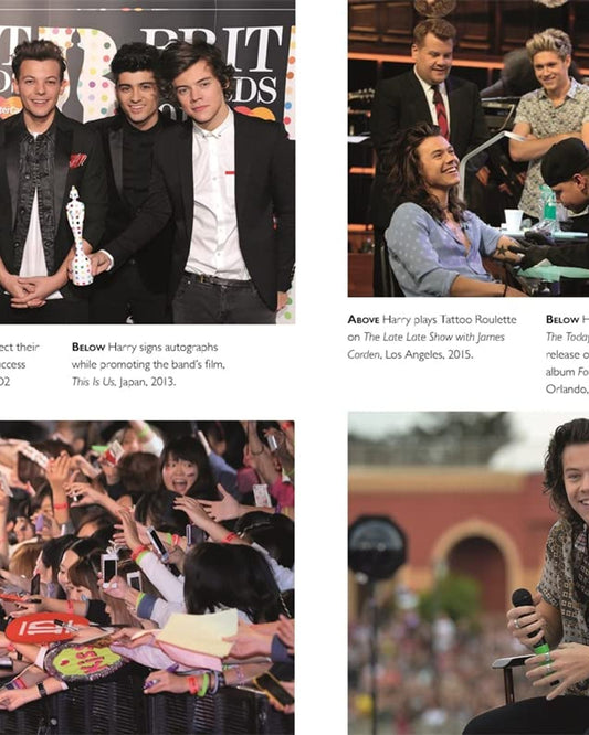 Harry : The Unauthorized Biography