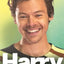 Harry : The Unauthorized Biography