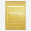 Little Book of Versace : The Story of the Iconic Fashion House