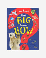 First Big Book of How