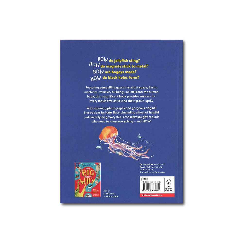 First Big Book of How