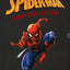 Marvel Spider-Man Story Collection