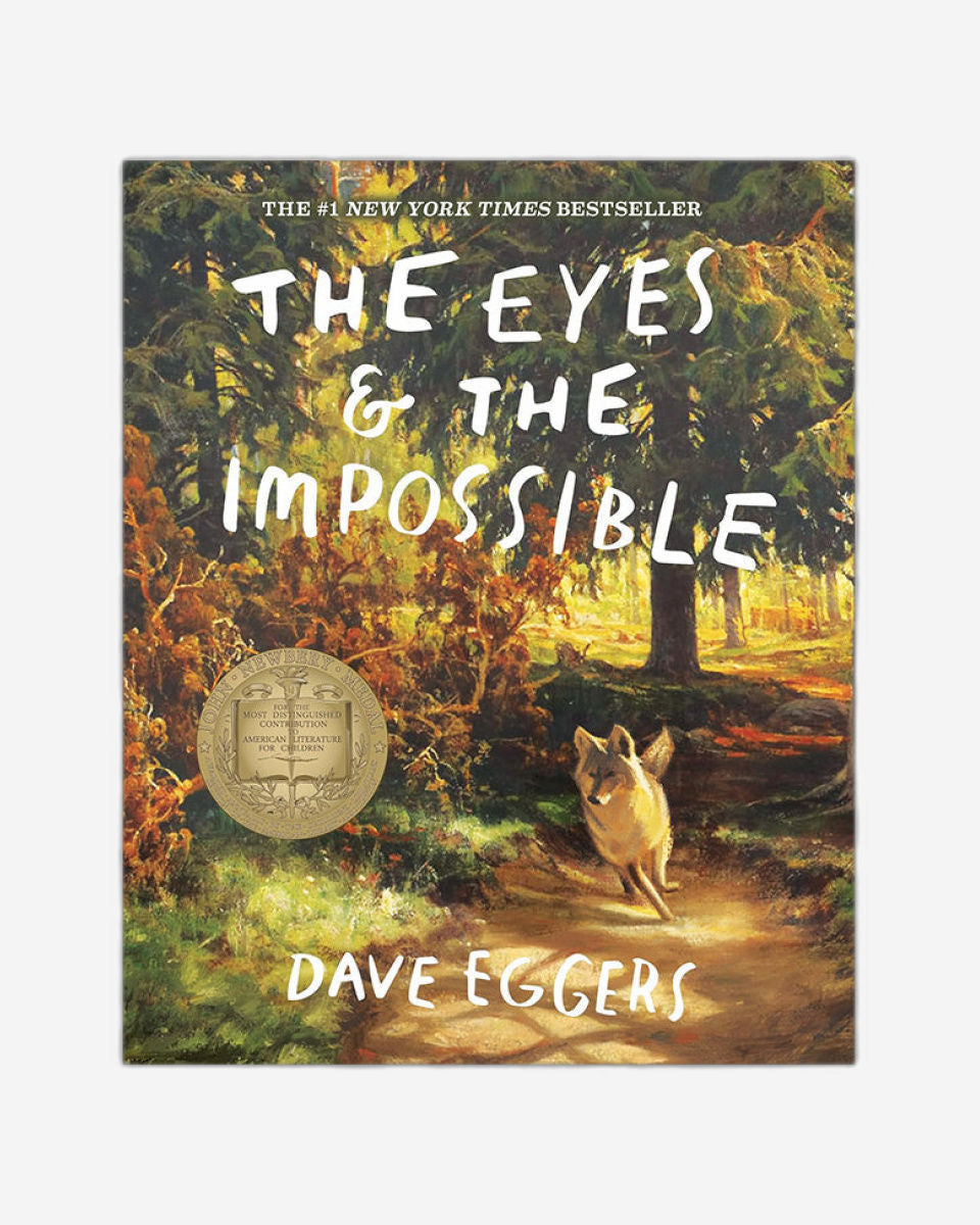 The Eyes and the Impossible