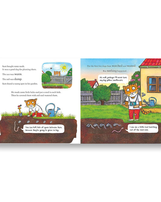 National Trust: Sam Plants a Sunflower