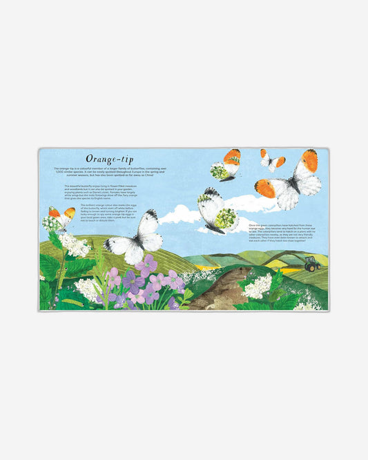 National Trust: Butterfly Skies : Press out and learn about 20 beautiful butterflies