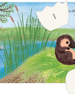 Eggs! : A lift-the-flap counting book full of surprises!