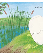 Eggs! : A lift-the-flap counting book full of surprises!