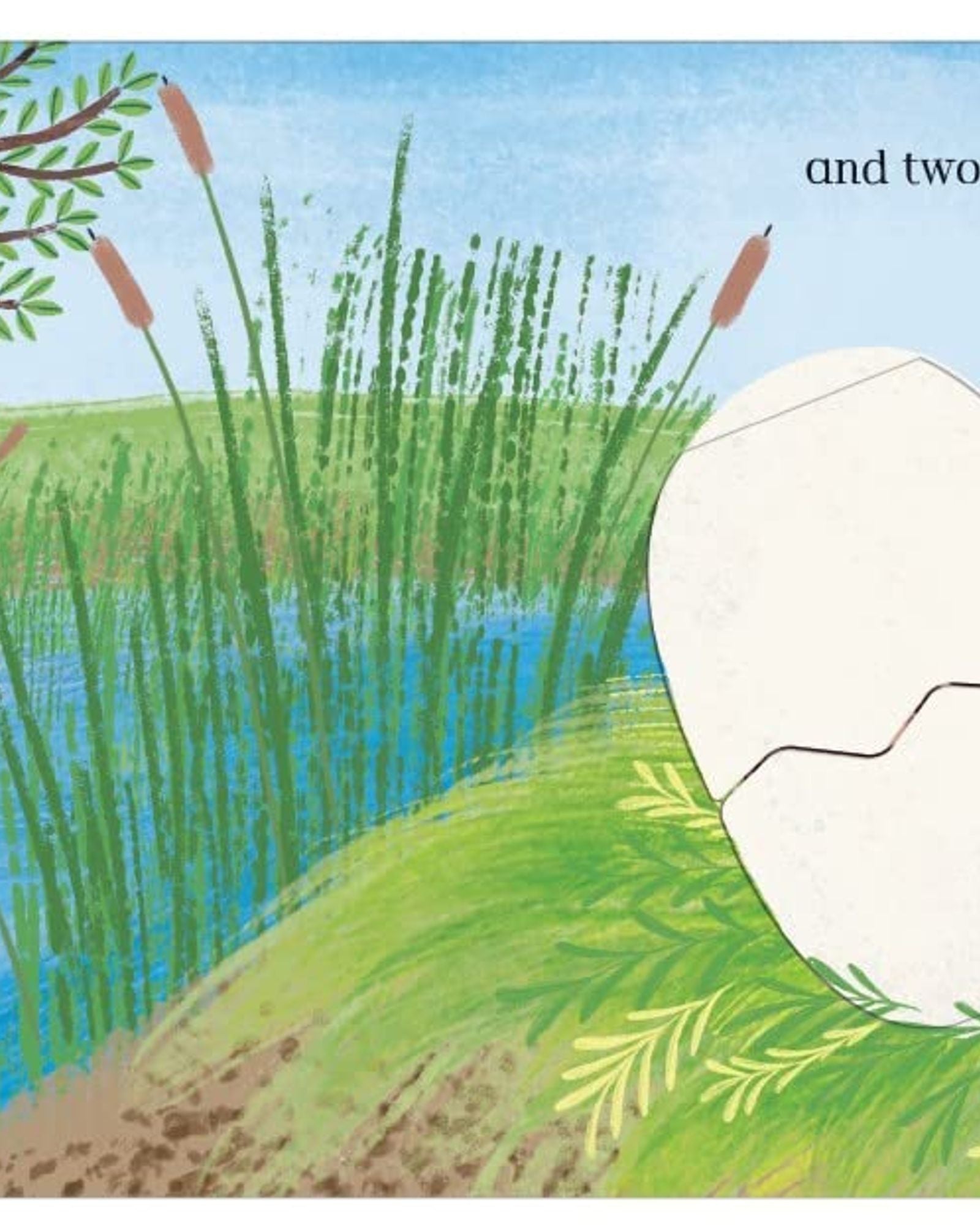 Eggs! : A lift-the-flap counting book full of surprises!