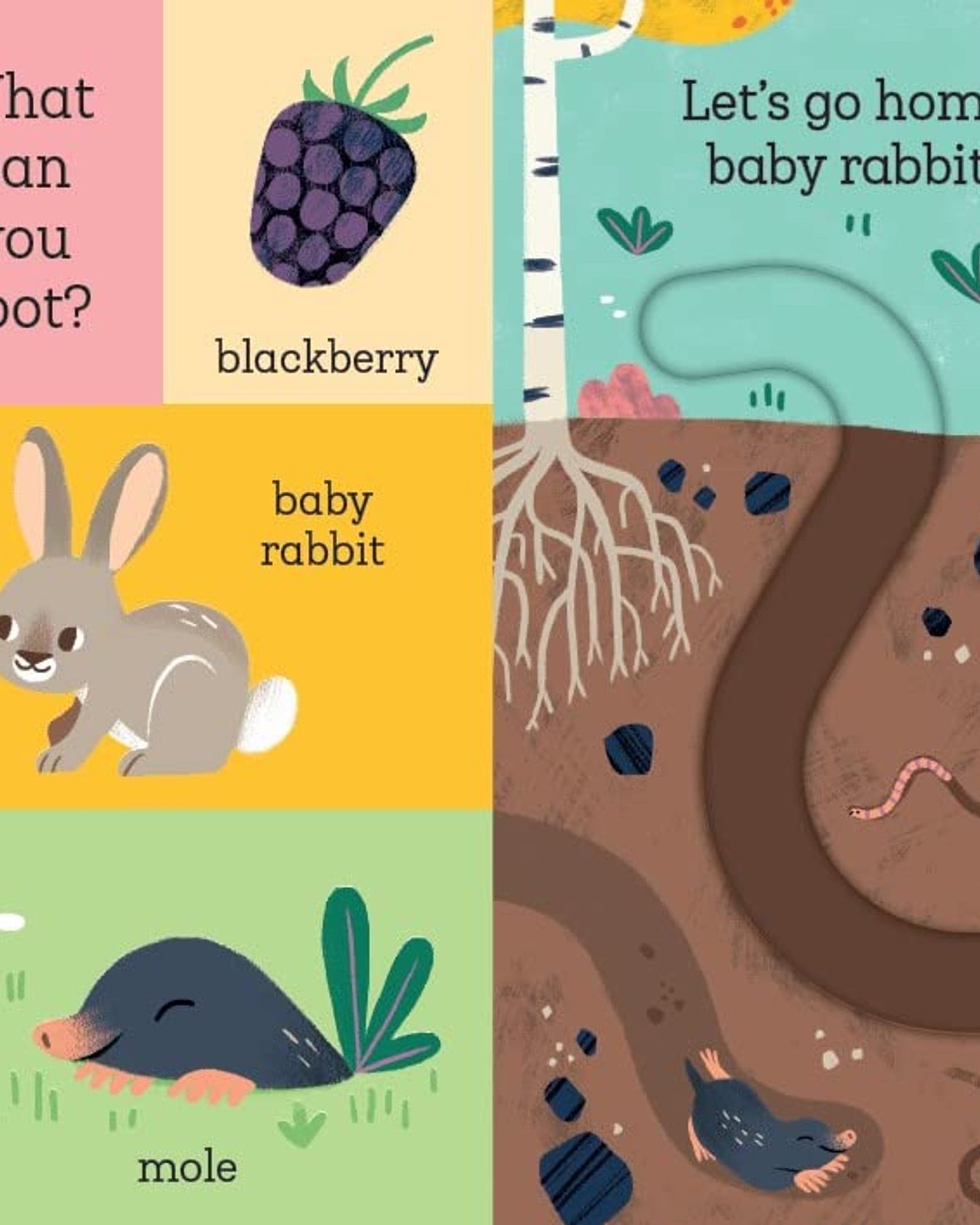Let's Go Home, Baby Rabbit
