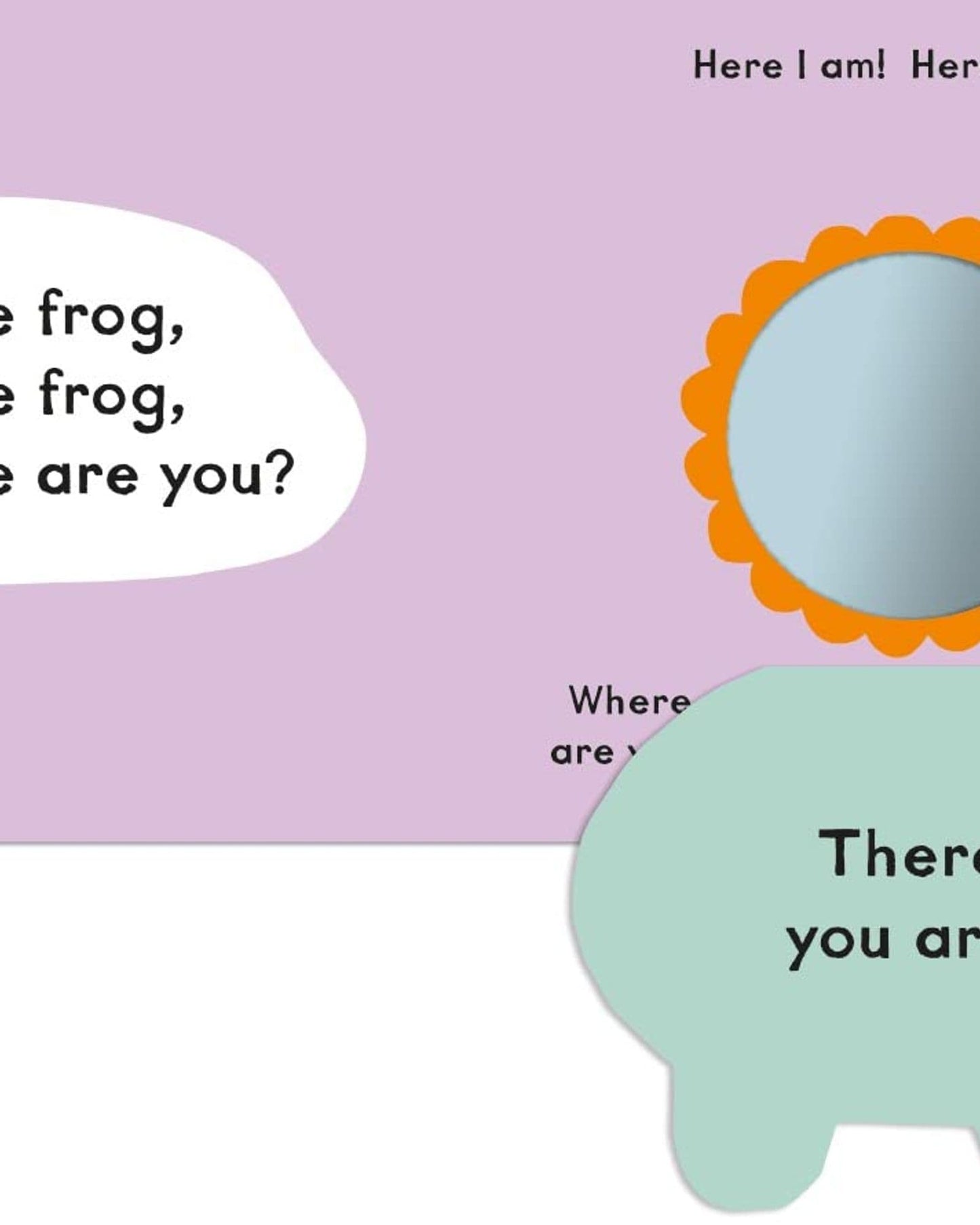 Baby Faces: Little Bear, Where Are You?