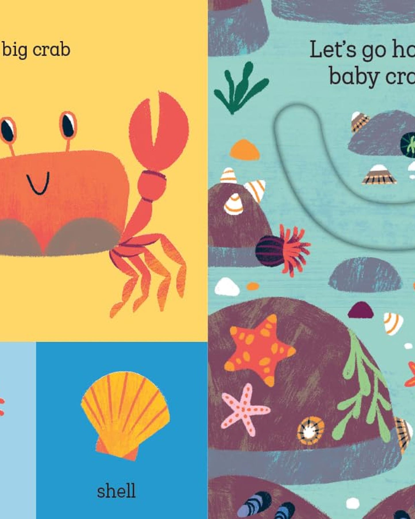 Let's Go Home, Baby Shark