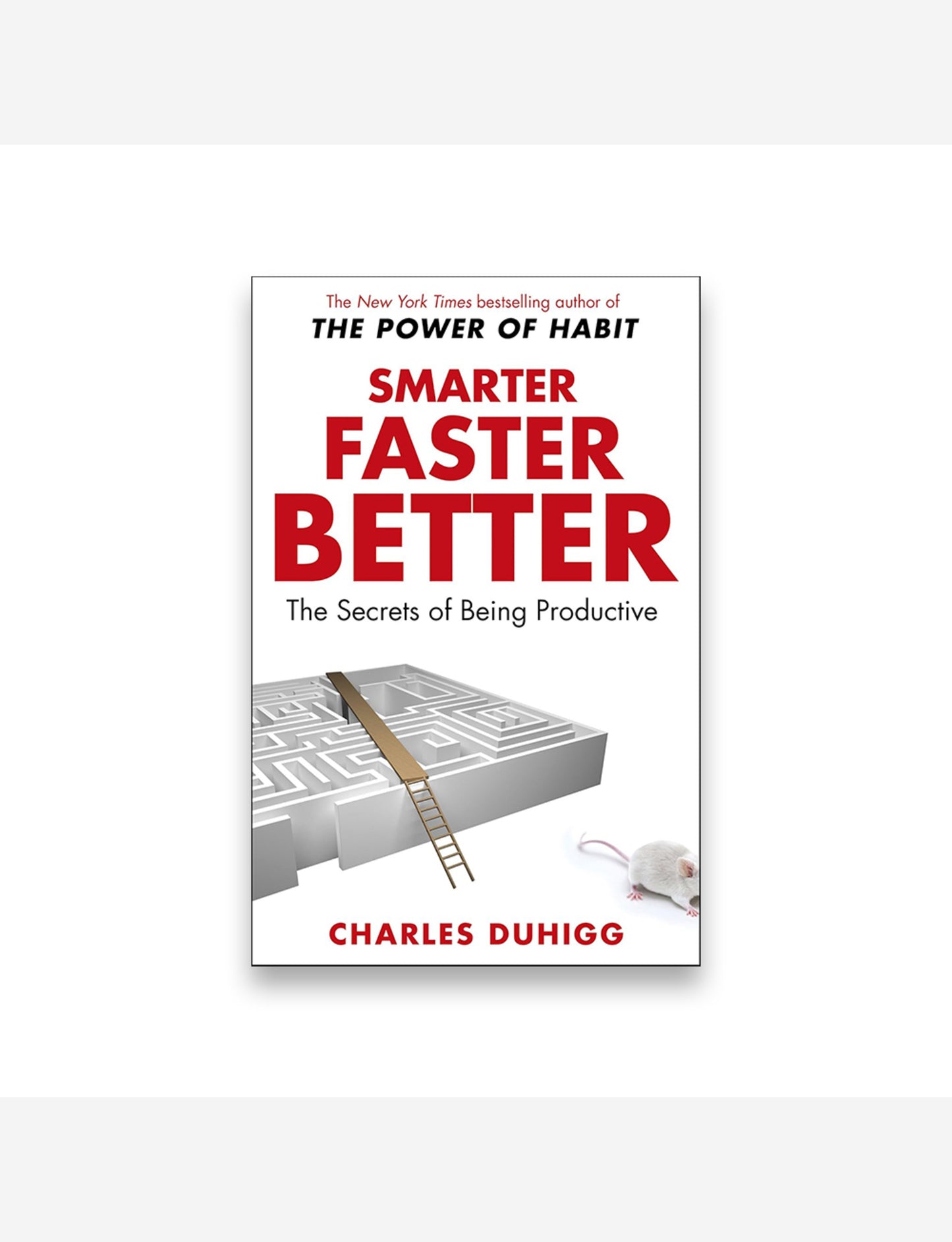 Smarter Faster Better : The Secrets of Being Productive