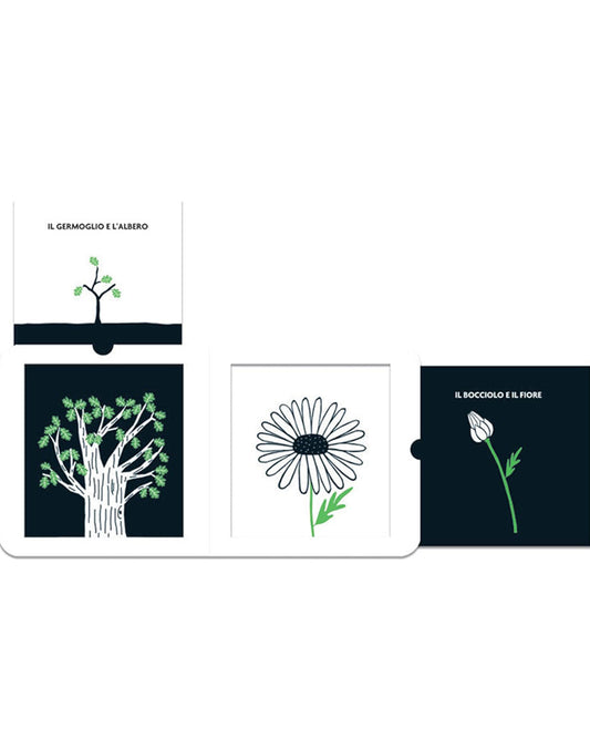 Growing Up (Black & White Books: Visual Stimulation for Babies)