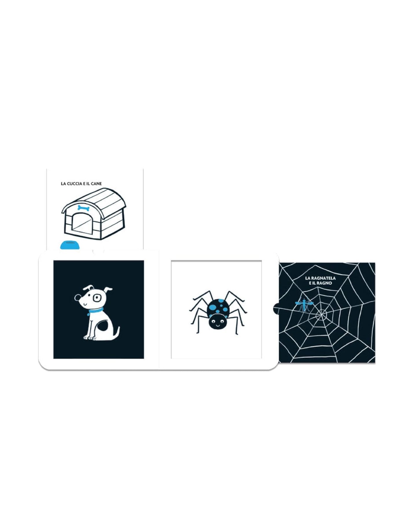 Who lives here? (Black & White Books: visual stimulation for babies)