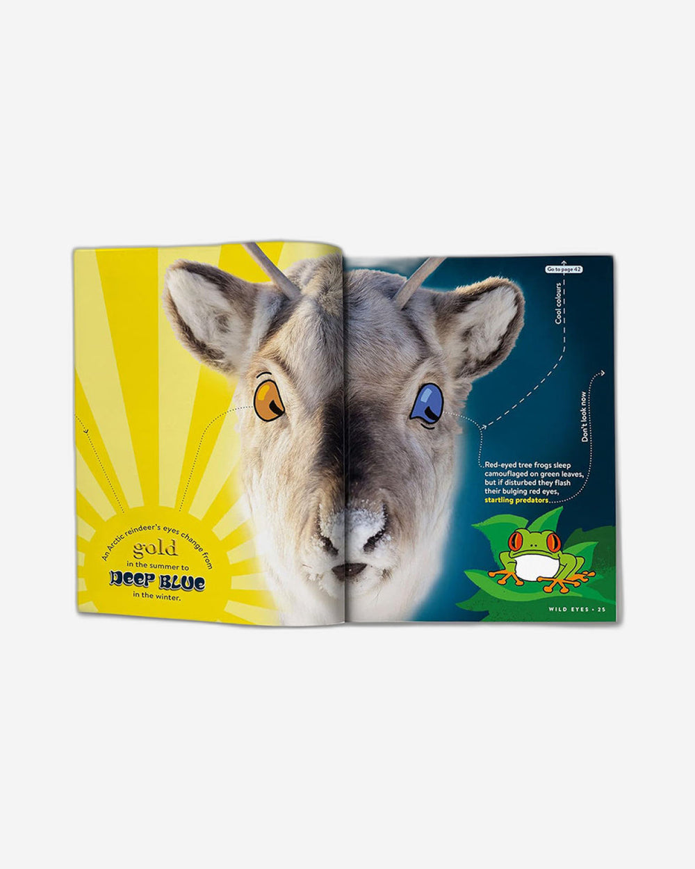 Animal FACTopia!: Follow the Trail of 400 Beastly Facts [Britannica]