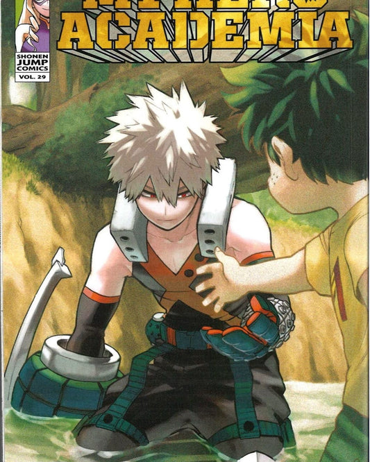 My Hero Academia Gn Vol 29
