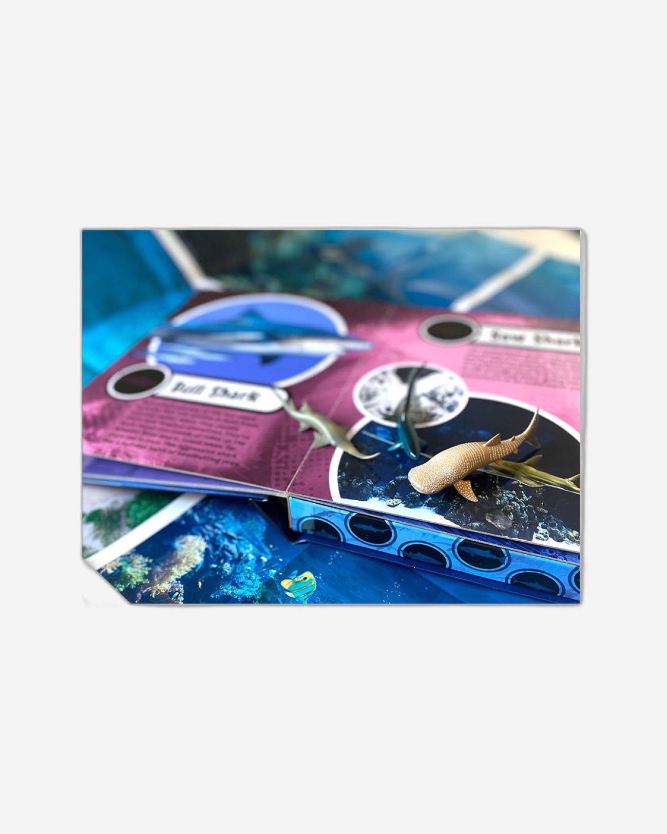 World of Sharks My Busy Book 