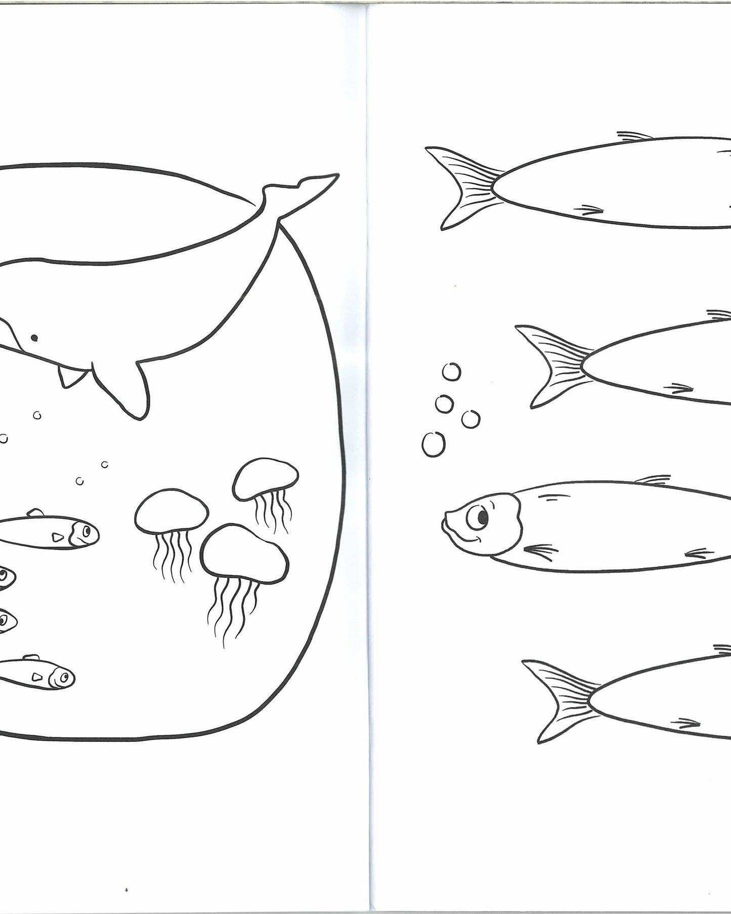 Penguin Crush Colouring Book  (The Crush Series)