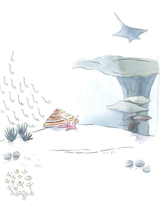 Crab Crush (The Crush Series)