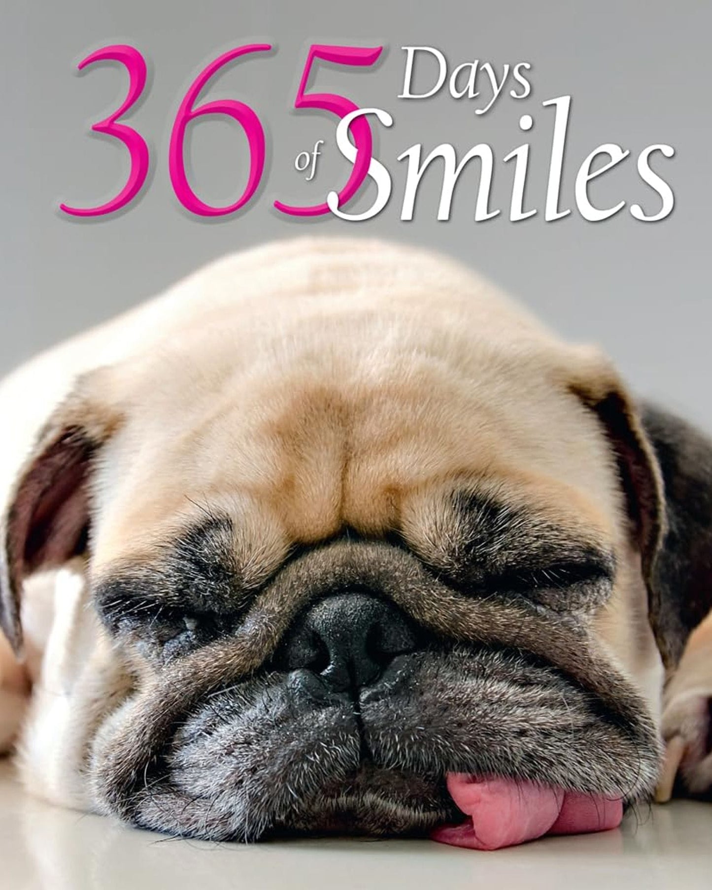 365 Days of Smiles