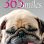 365 Days of Smiles