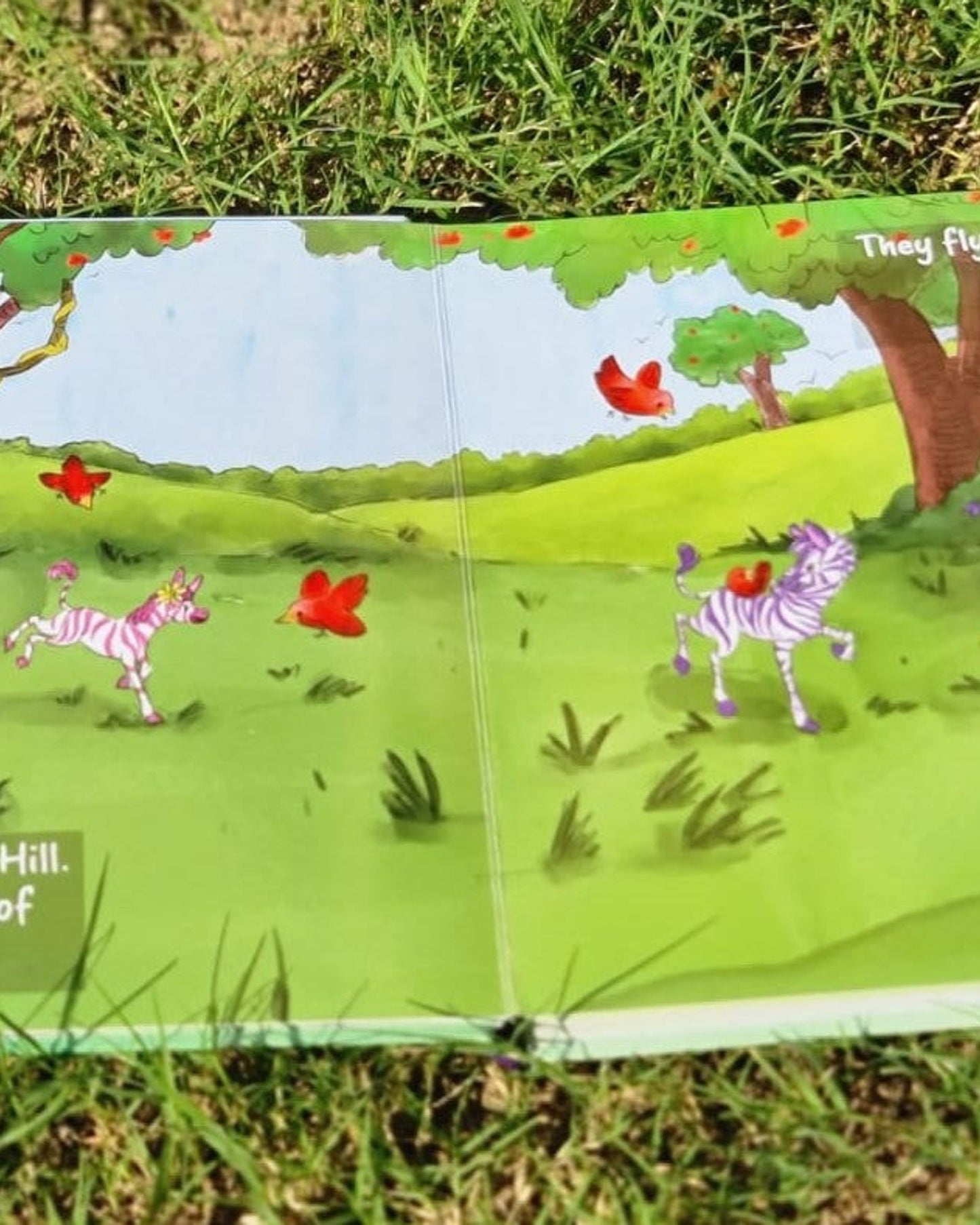 Zezu and Zezi In the Rainbow Forest