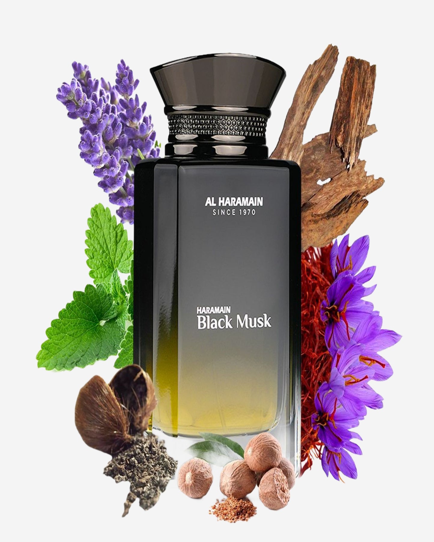 Haramain Black Musk 100Ml Eau De Parfum