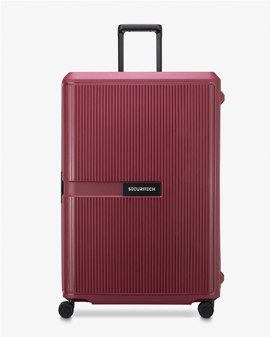 Delsey Paris Stone Hardcase 4Double Wheel  Trolley  Case