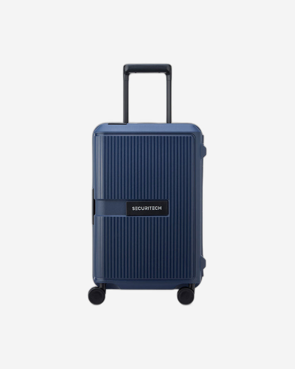 Delsey Paris Securitech Stone Luggage