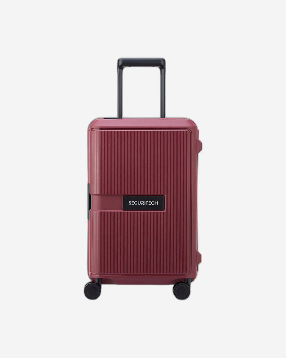 Delsey Paris Securitech Stone Luggage