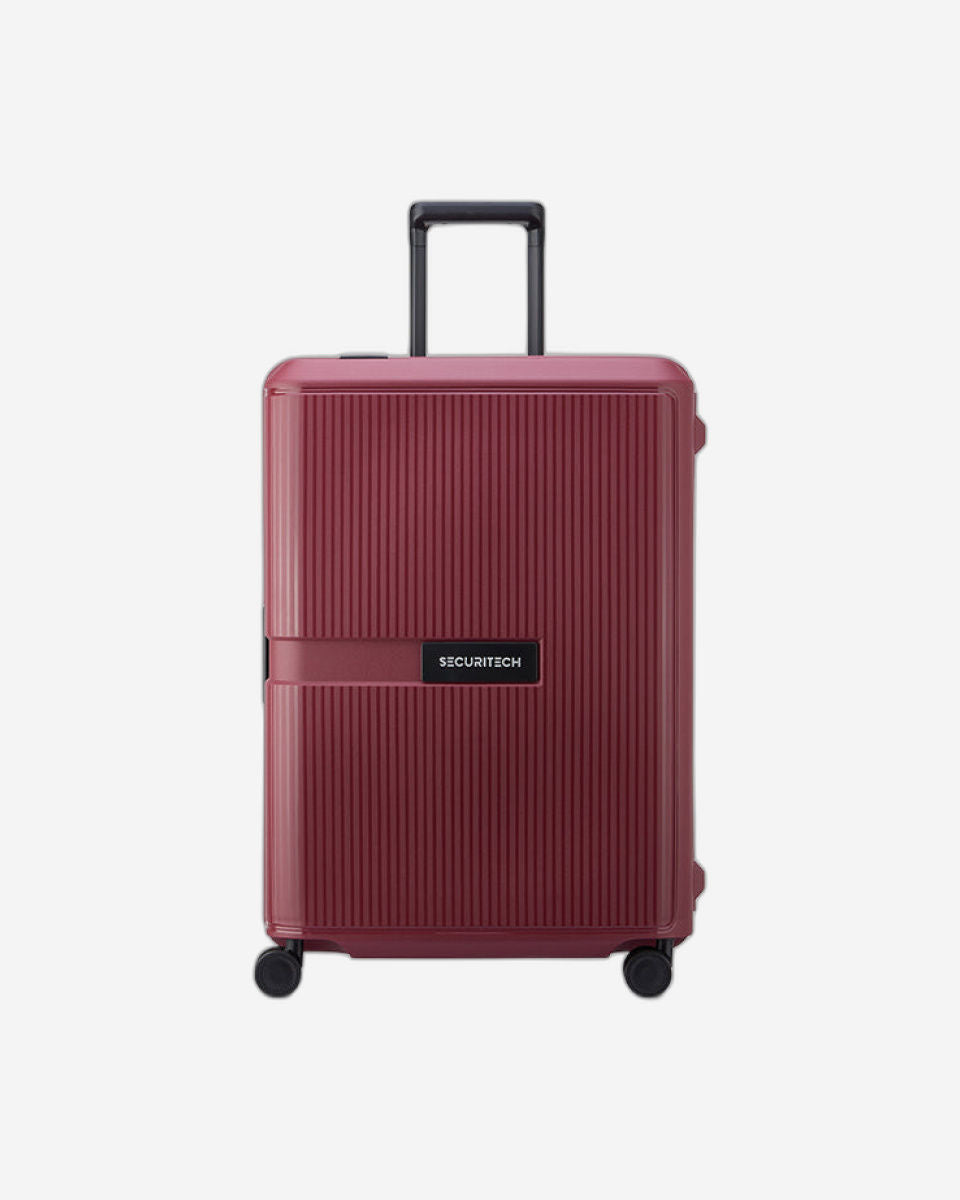 Delsey Paris Securitech Stone Luggage