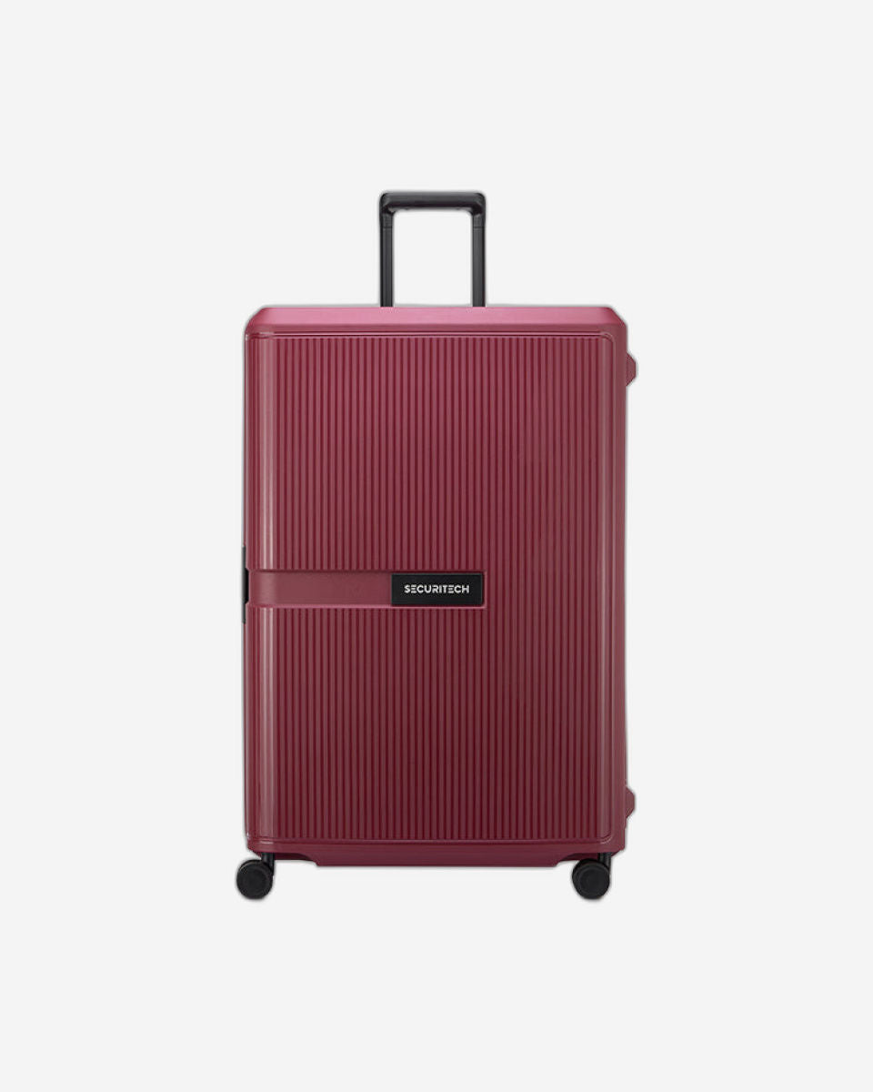 Delsey Paris Securitech Stone Luggage
