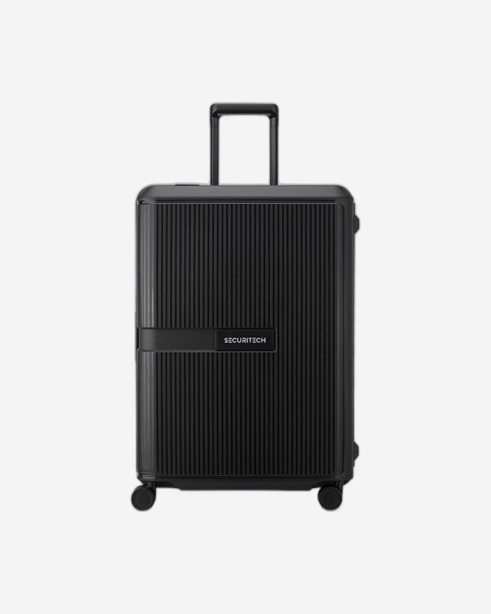 Delsey Paris Securitech Stone Luggage