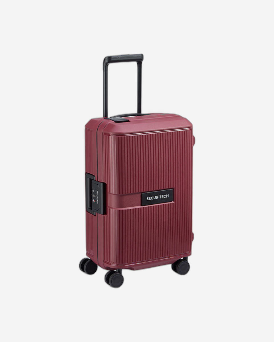Delsey Paris Securitech Stone Luggage