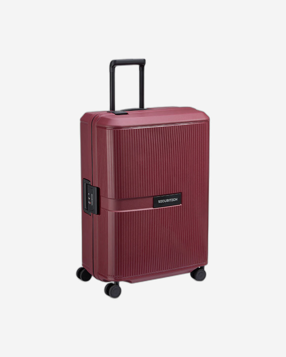 Delsey Paris Securitech Stone Luggage