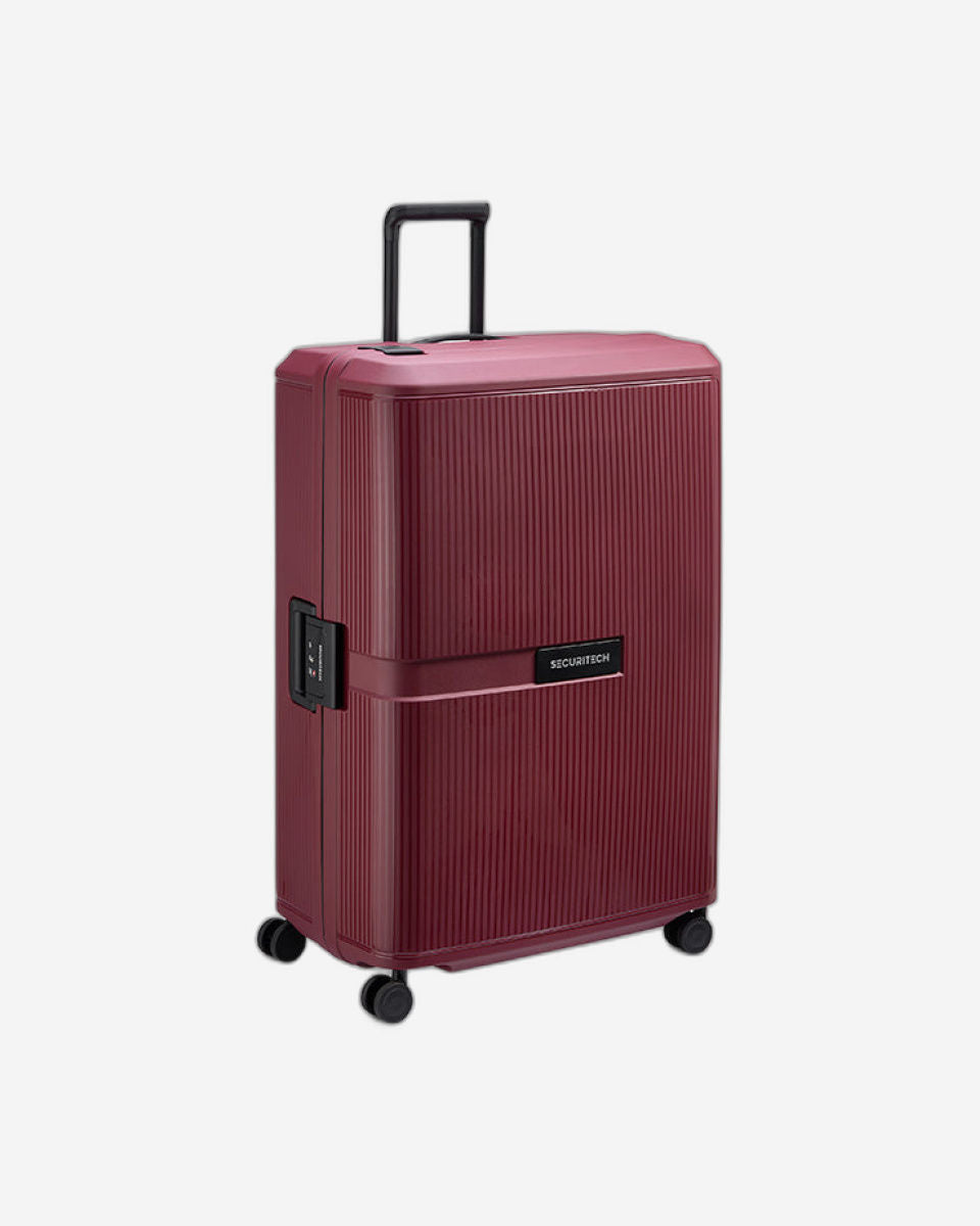 Delsey Paris Securitech Stone Luggage